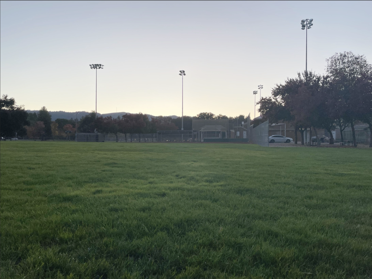 An unused baseball field in Ken Mercer park will be removed to make space for a cricket pitch.